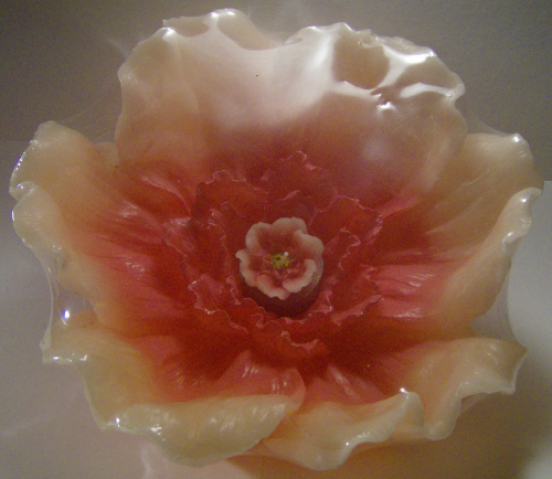Poppy rosa 24cm