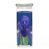 Royal Blue Iris Pillar Glaskerze 566g