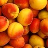 Fresh Peach Wachs-Melt
