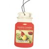 Cranberry Pear Car Jar®