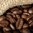 Coffee Bean Wax Melt 62g