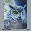 Wizard's Owl Jar Wax Crumbs 22g