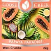 Papaya Paradise Wax Crumbs 22g