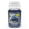 Wild Maine Blueberry Jar 602g