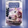 Blueberry Cream Pop Wax Crumbs 22g