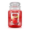 Strawberry Lemonade Jar737g