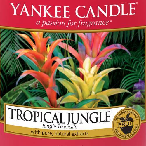 Tropical_Jungle_Icon