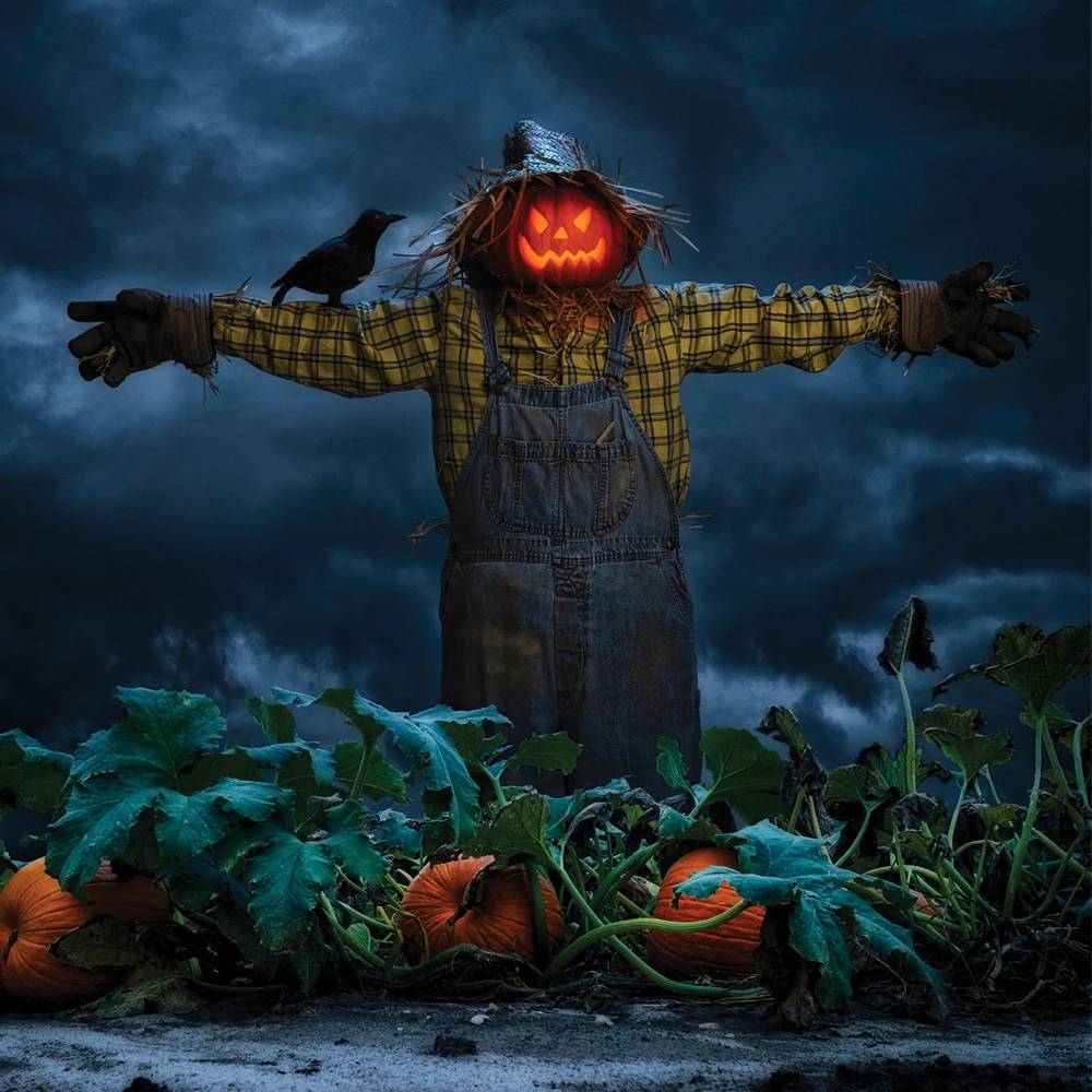 Pumpkin_Scarecrow
