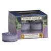 French Lavender Teelichter
