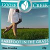 Barefoot In The Grass Wax Crumbs 22g