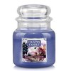 Blueberry Cream Pop Jar 454g