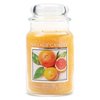Citrus Zest Jar 602g
