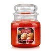 Apple Cinnamon Muffin Jar 454g