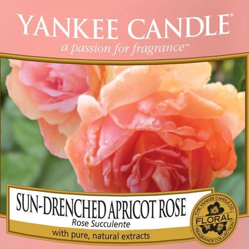 Sun-Drenched_Apricot_Rose_Icon